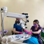 teama dentist